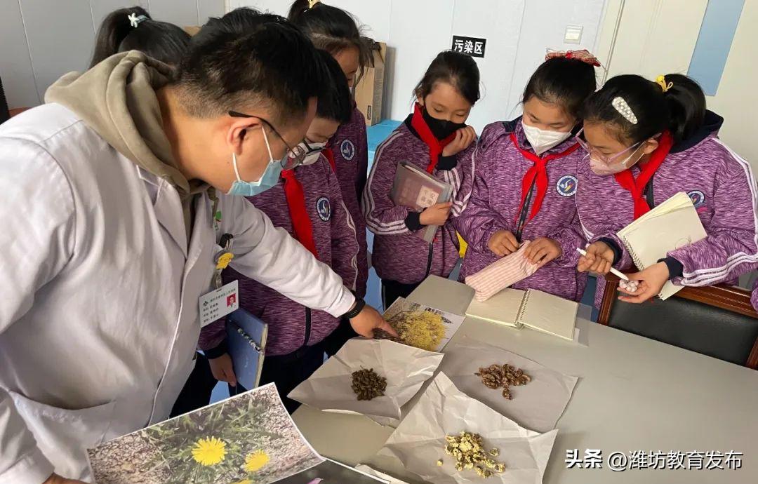 周播报,新闻播报周播