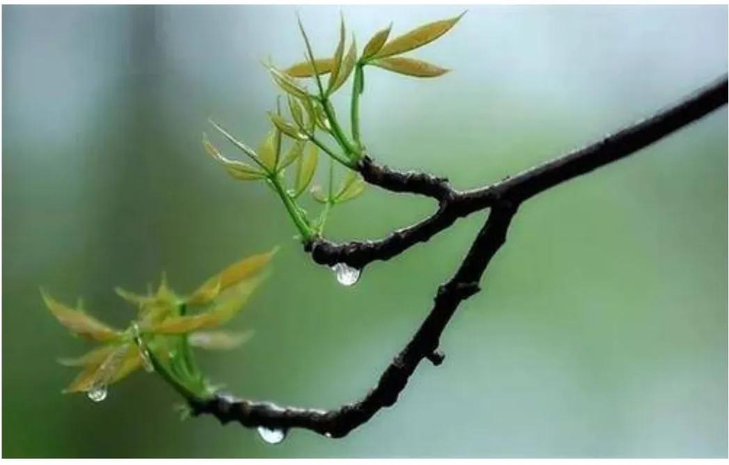 人生哲理意境文字,真字人生哲理