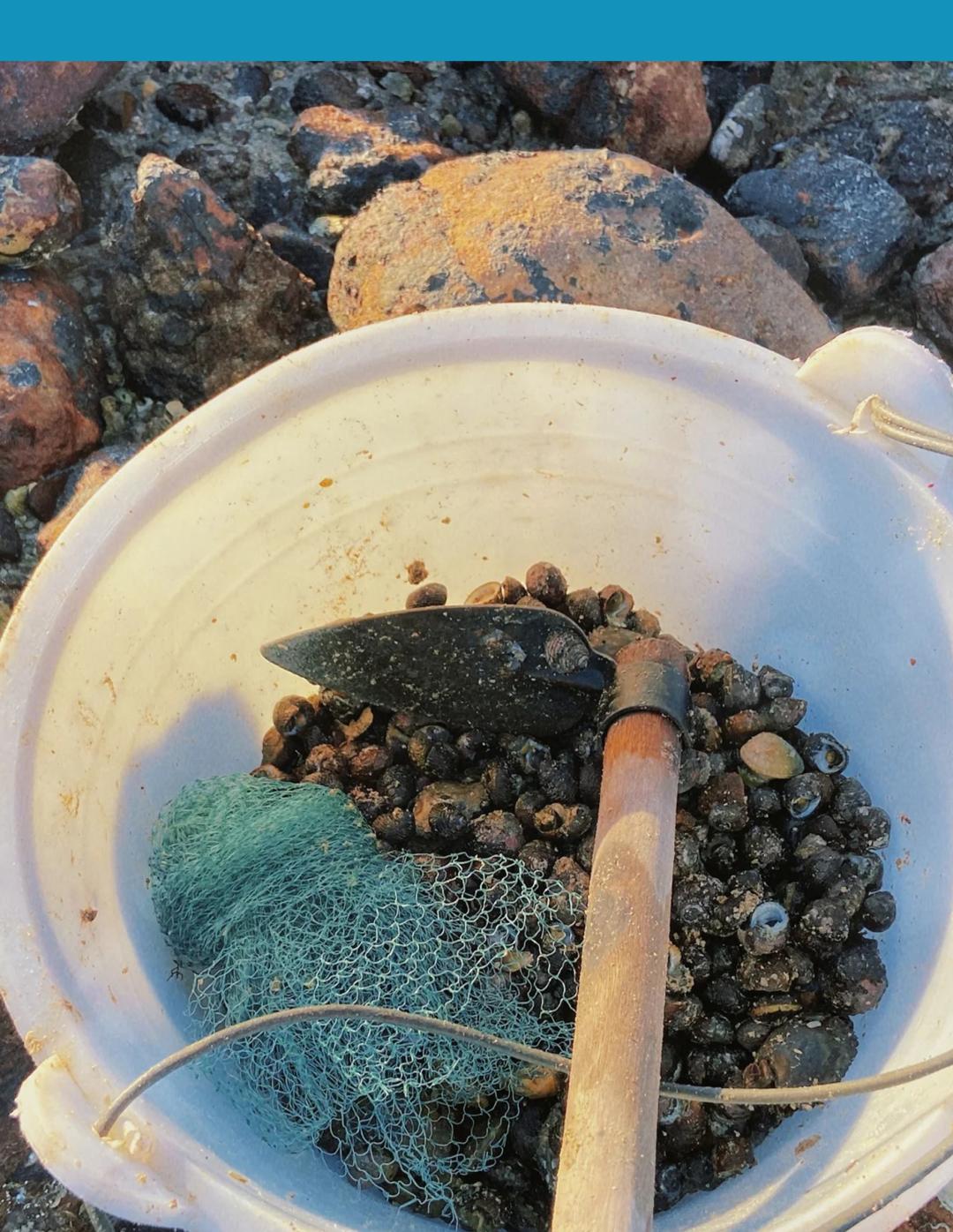 和我一起去赶海,我想去赶海你想去吗