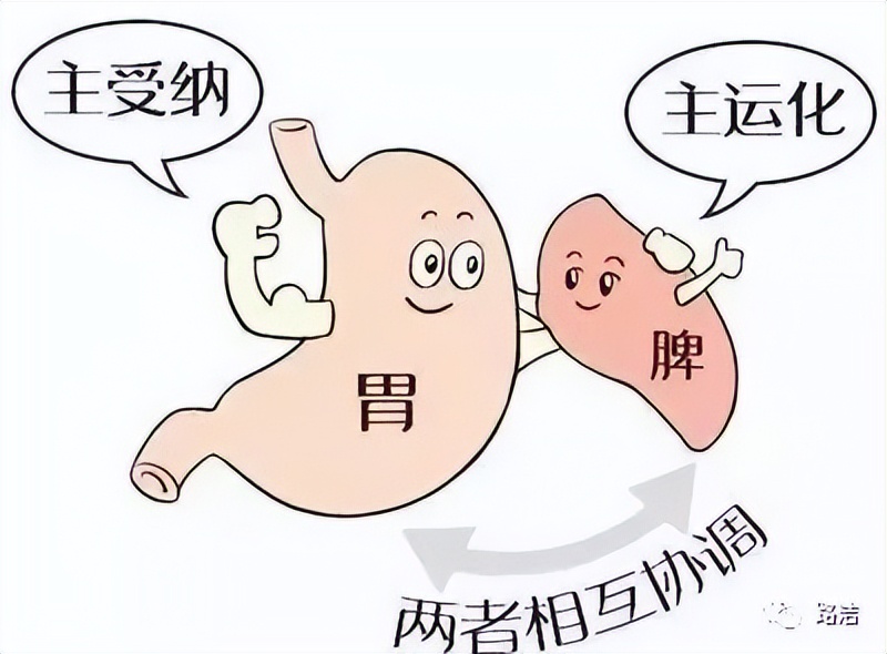 路氏中医药,路氏经方