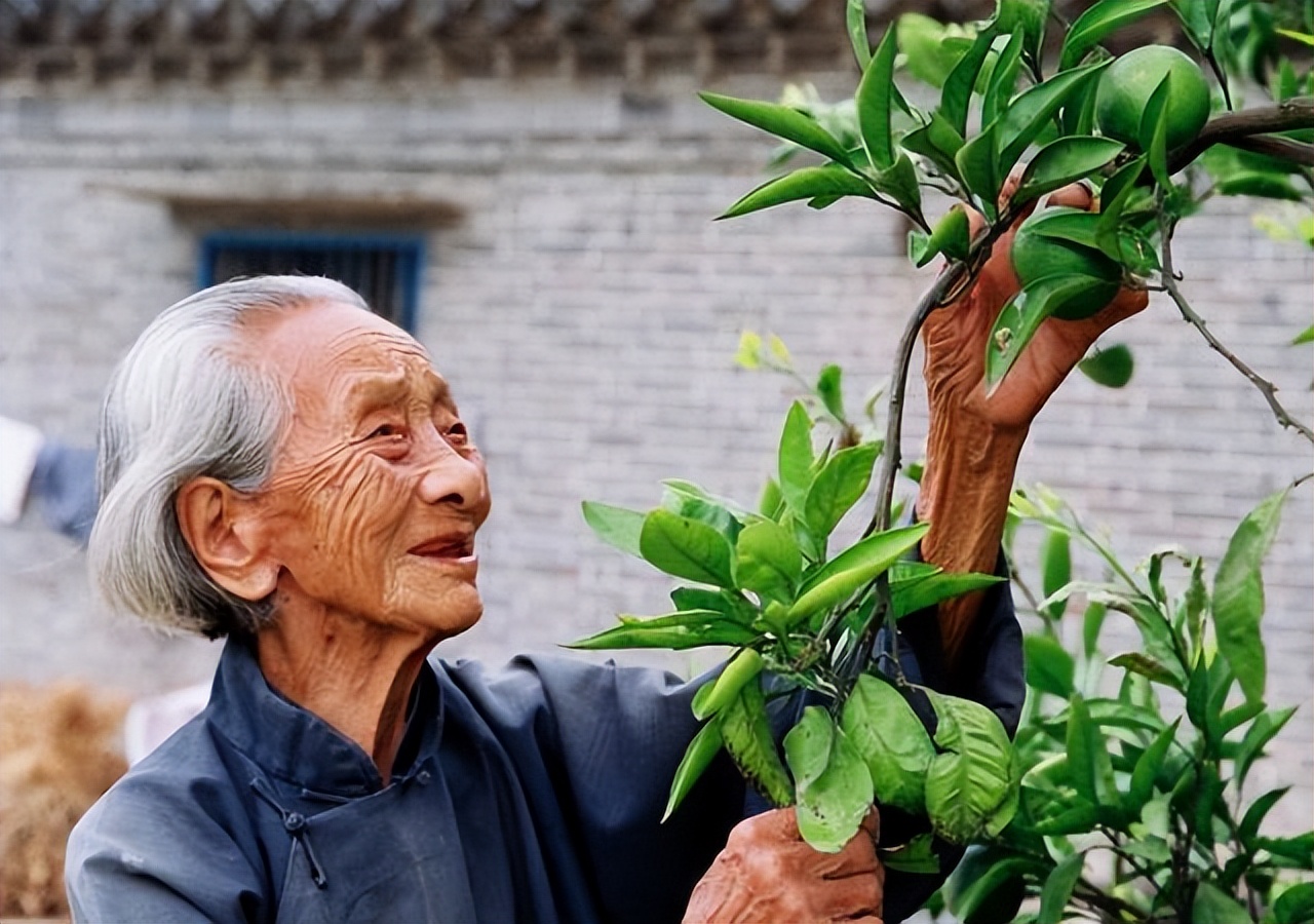 钟南山院士能活100多岁吗,钟南山院士多少高寿