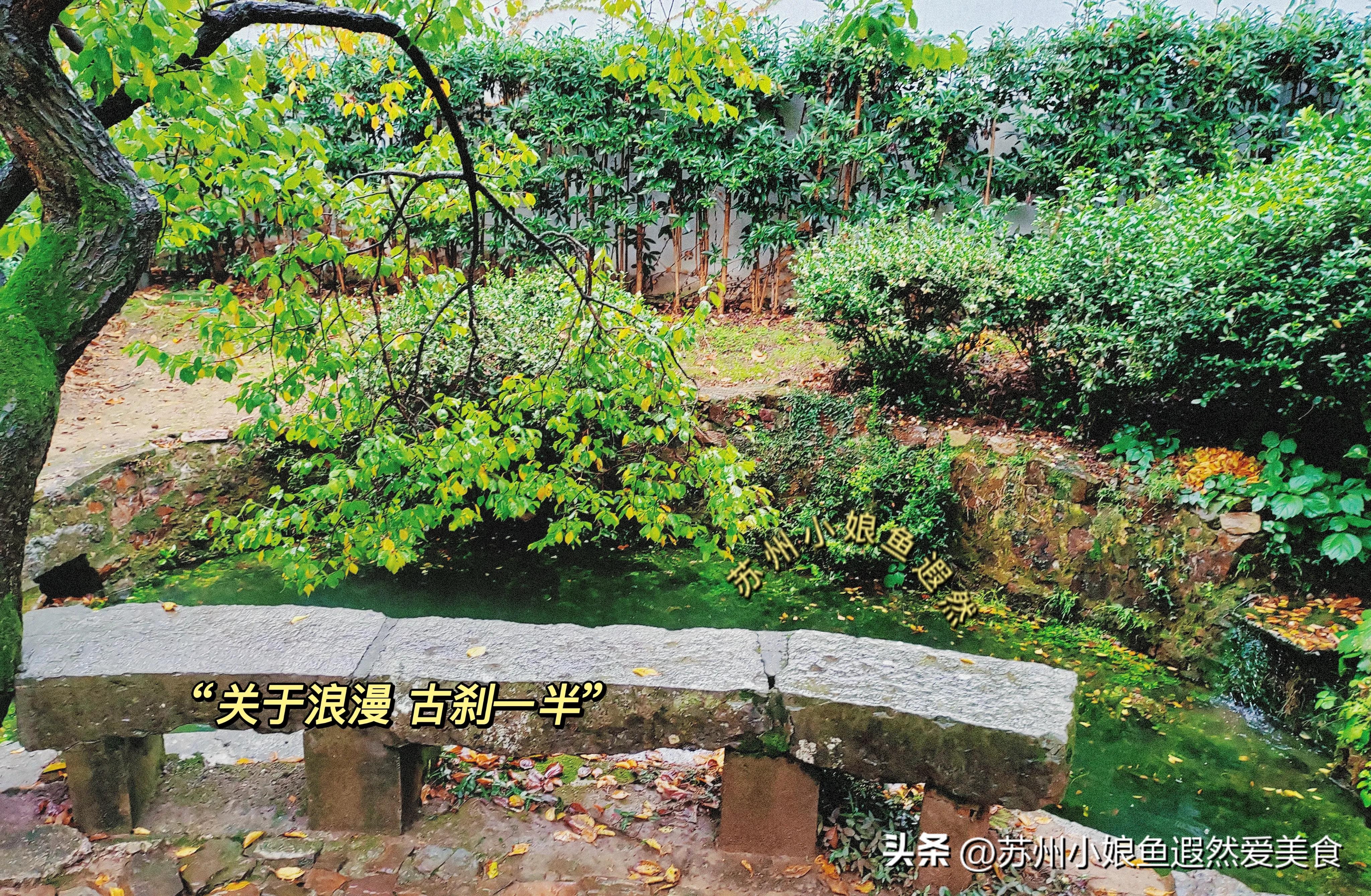 苏州一日游攻略探索更好玩的景点,苏州一日游景区推荐