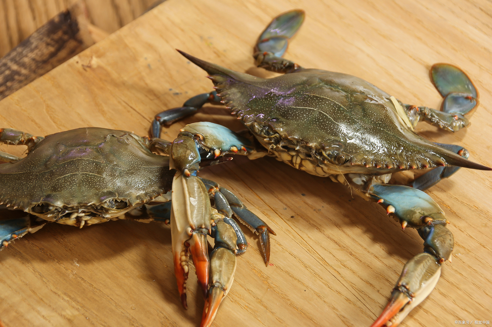 浙江的特产美食,浙江嘉兴特产有哪些可带走
