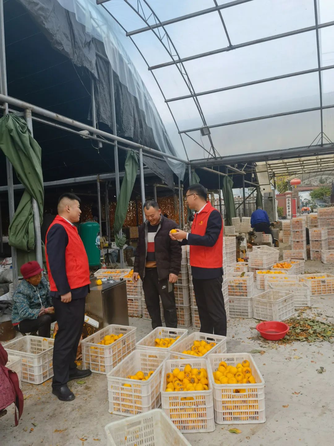 璐峰姩鏈潵鍋氬己浜т笟,璐峰姩涔℃潙鎸叴