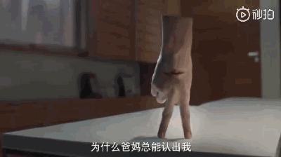 假洋品牌和仿洋品牌,假洋牌真国货