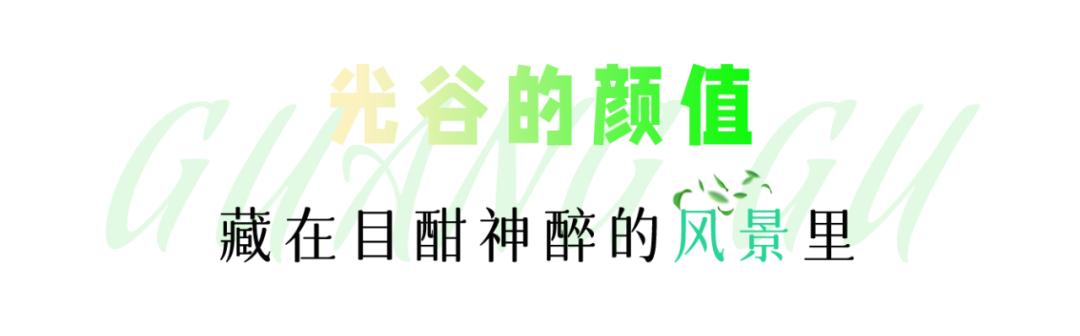 光谷适合干嘛,光谷有什么让人去的理由