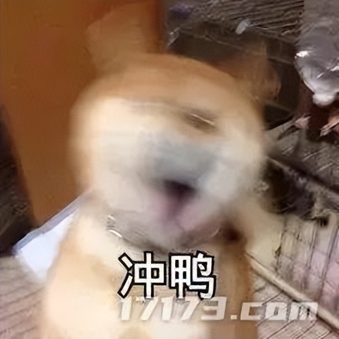 暗黑4游戏未响应,最好玩的暗黑4游戏