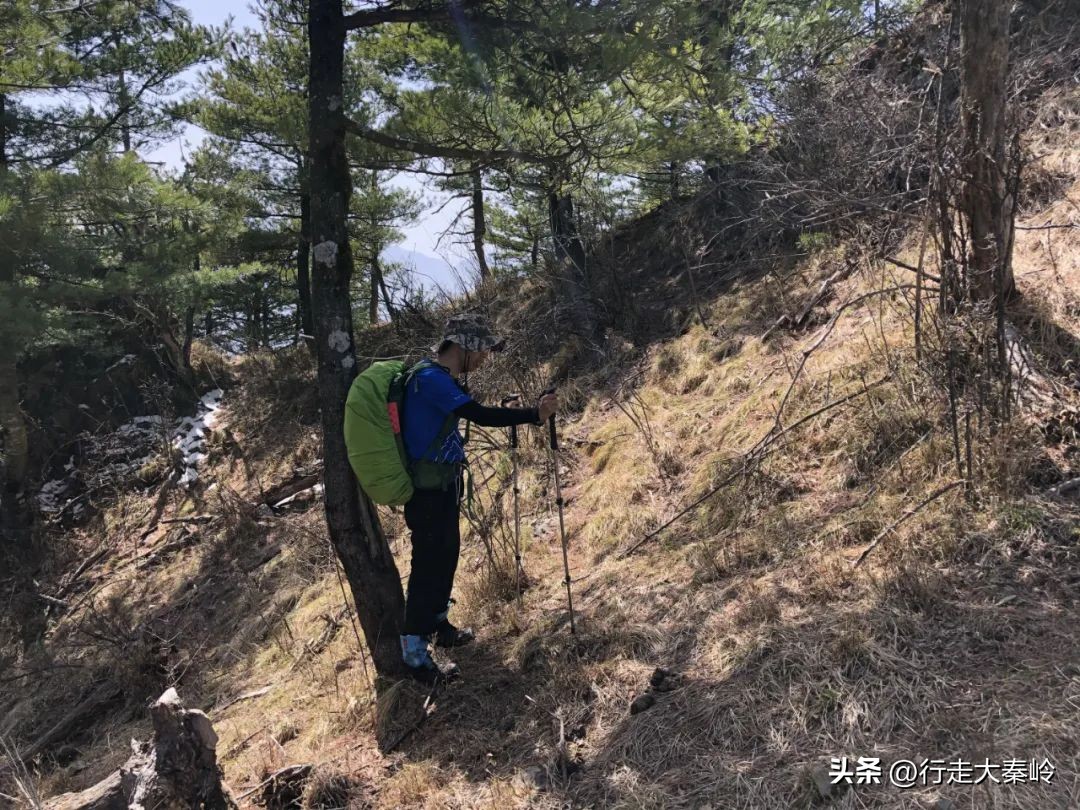 首阳山穿越大坪梁景色怎么样,大坪梁穿越到首阳山攻略