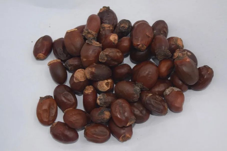 香甜爽口的荔枝,鲜美多汁甜度适中的荔枝