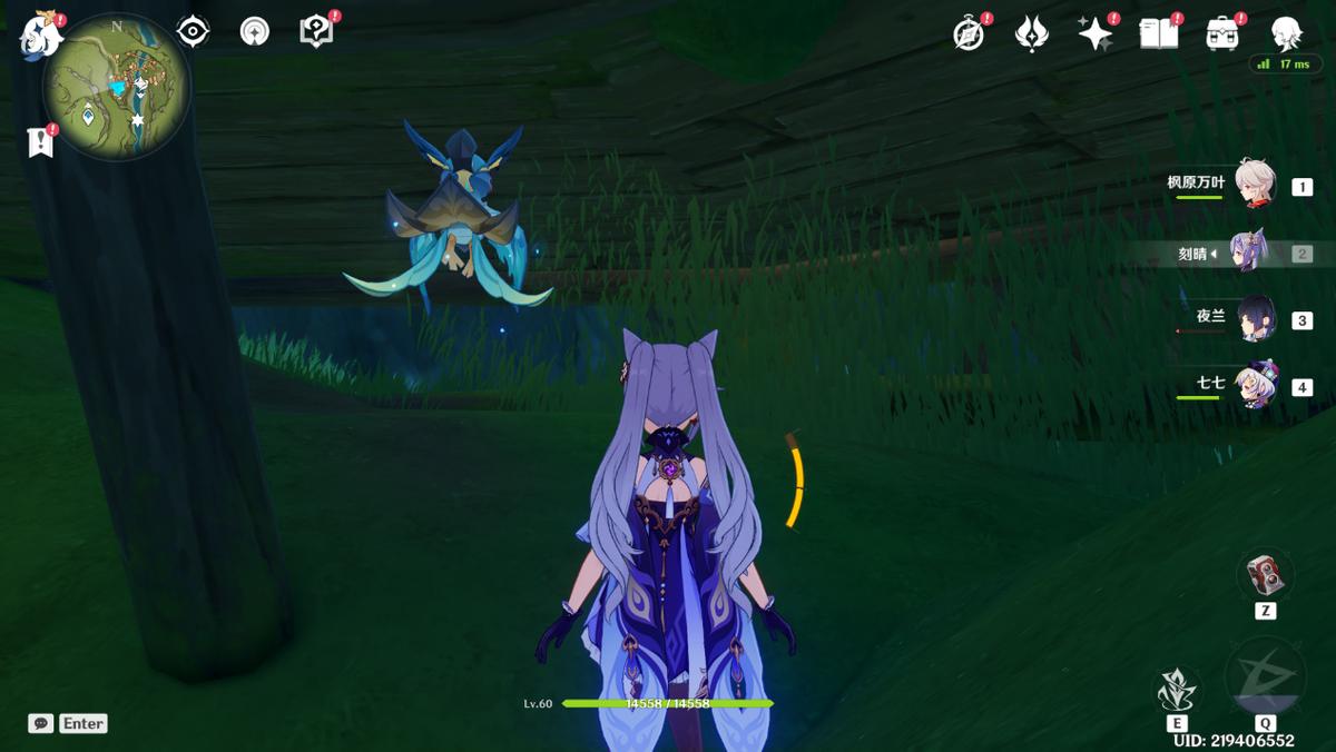 散兵风行迷踪飞行bug,风行迷踪清泉镇卡bug