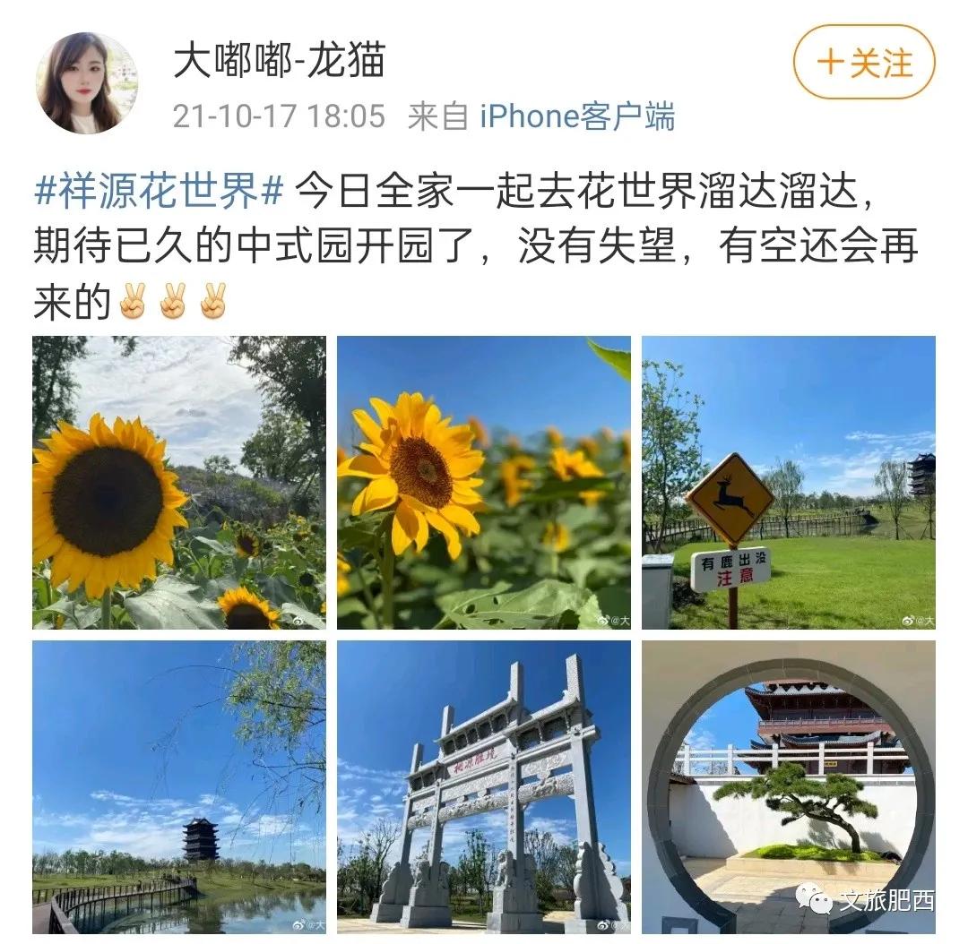 原来，在社交平台中，肥西的真实风景是这样的