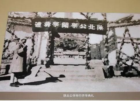 19岁就牺牲的女特工 (为革命胜利牺牲自己的女特工)