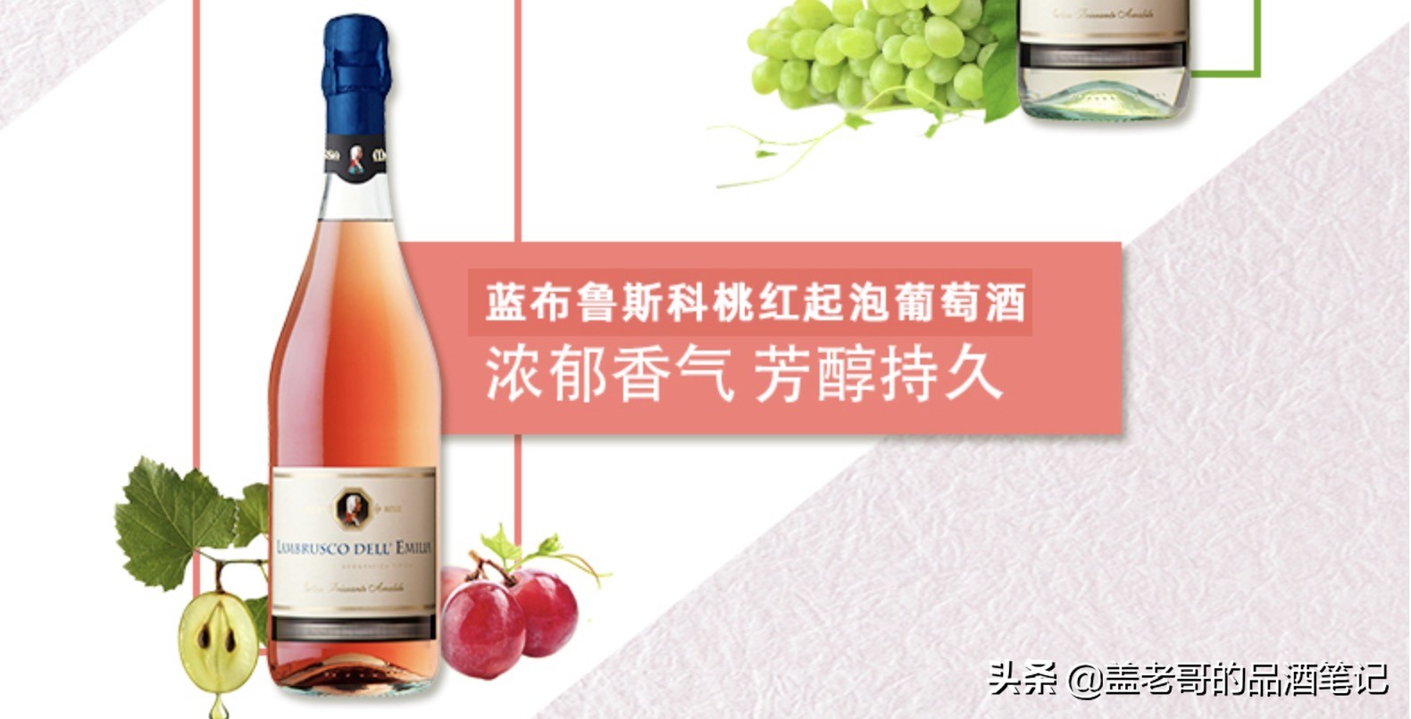 入门级的红酒口感排行榜,起泡葡萄酒什么牌子好喝