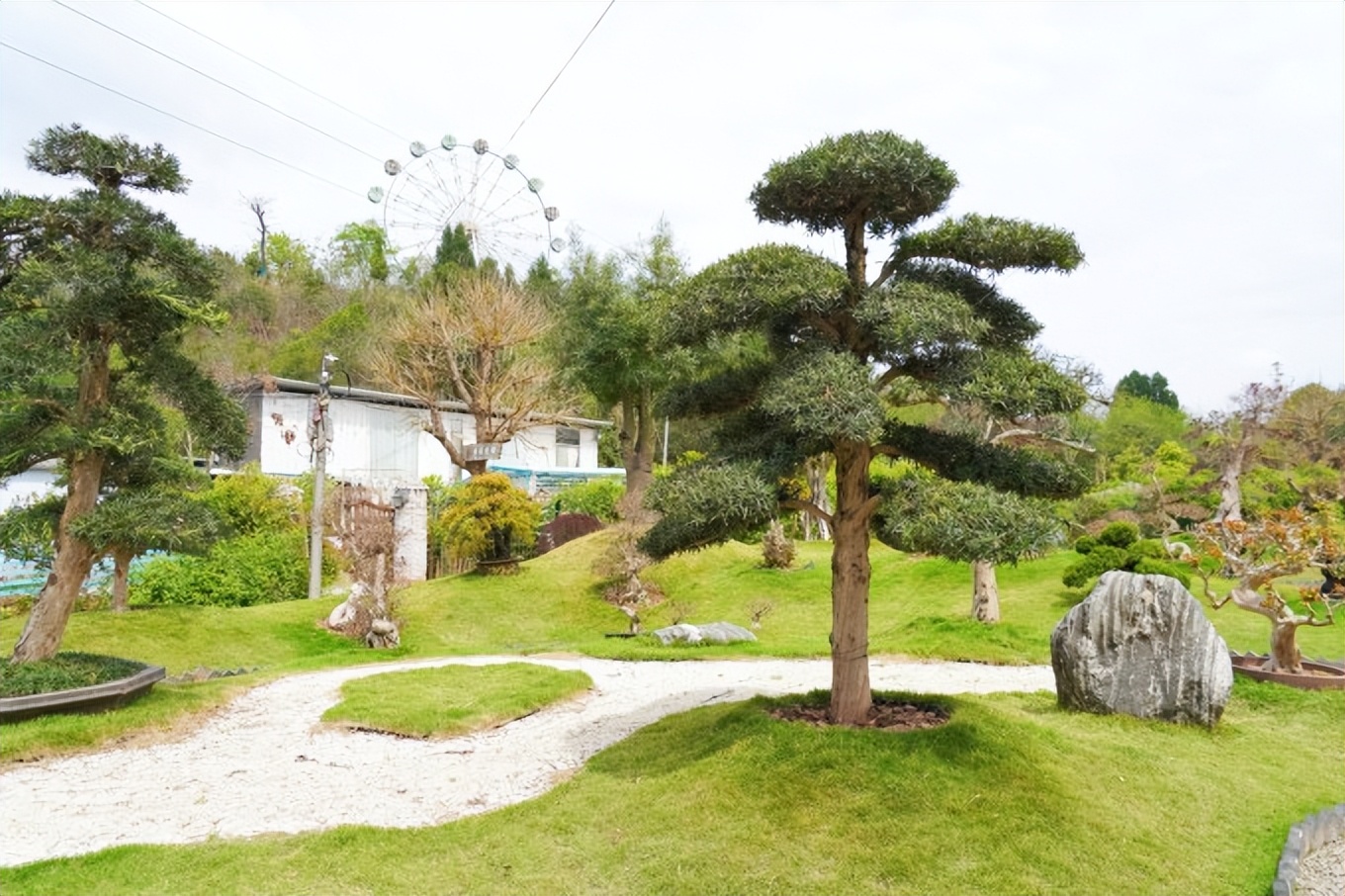 成都周边古镇一日游推荐秋冬季,成都1-2天短途旅游推荐古镇