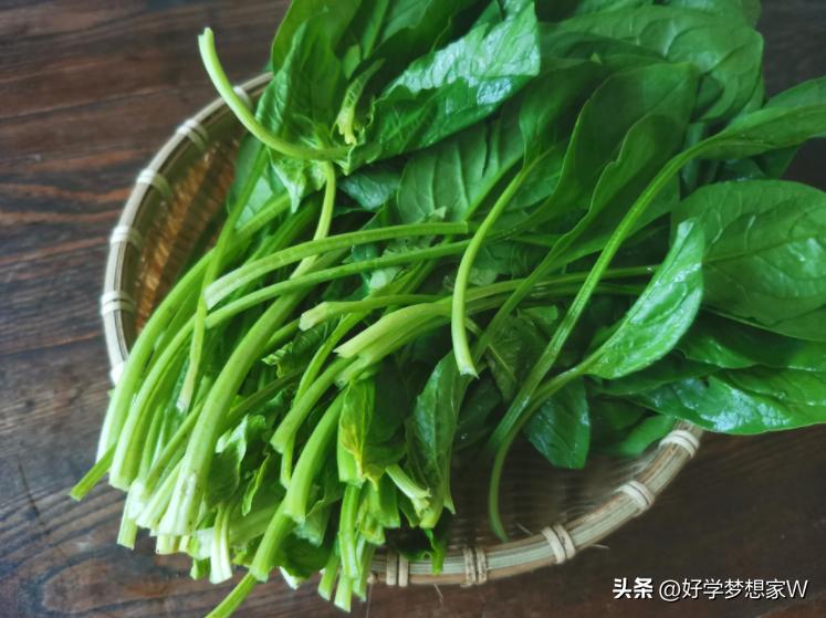 哪种蔬菜可以水煮好吃又能减肥,水煮蔬菜的正确方法大全