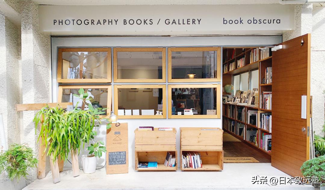 artfestival活动,artfestival有什么活动