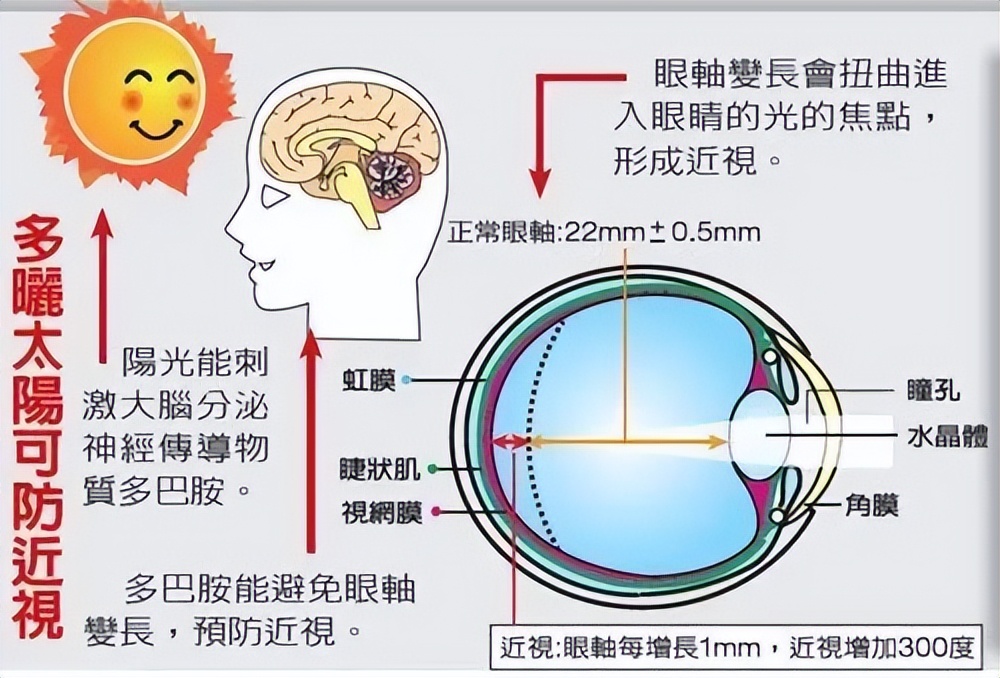 户外对儿童近视真的有效吗,户外活动对宝宝近视好处