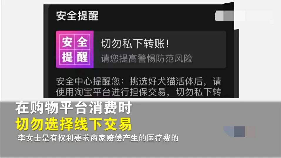 女子花十万元网购,女子花2300元买猫咪