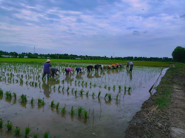 惊喜惊喜，粮食涨价两分钱