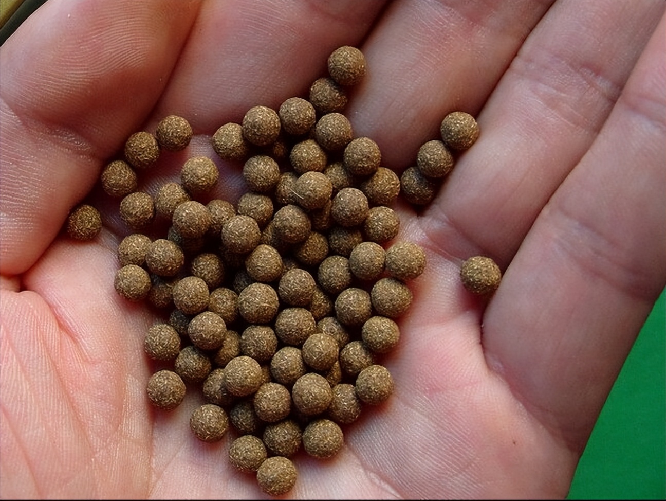 体质差怎么恢复身体素质,体质差人怎么养生