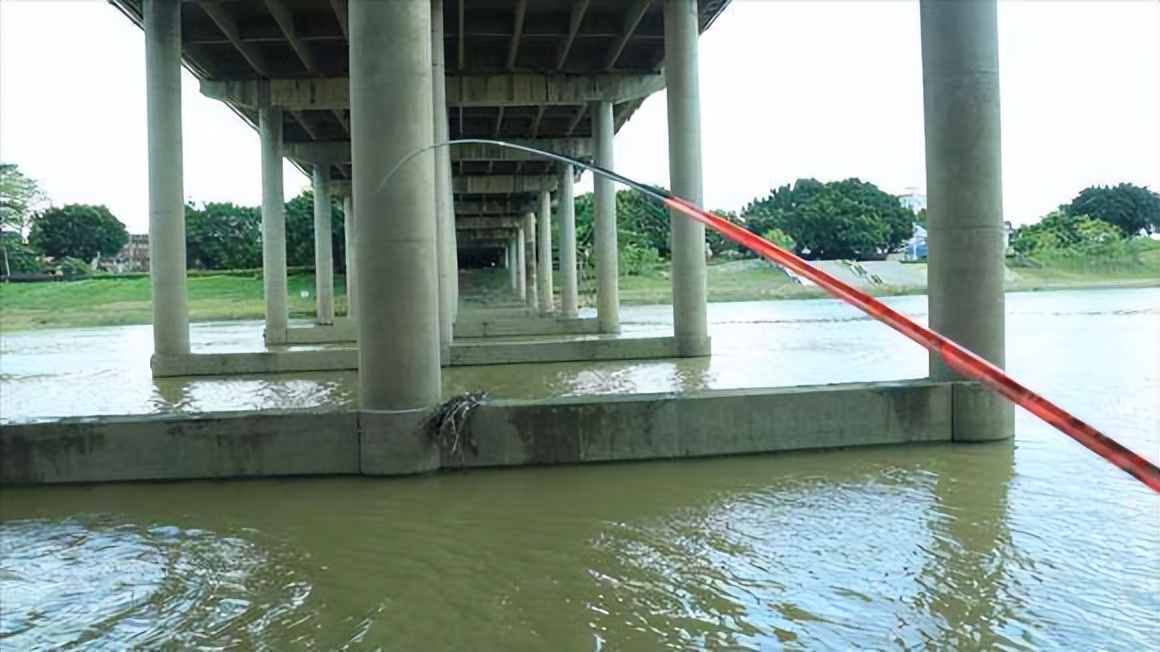 午时鱼为什么不好钓,神仙难钓午时鱼的原因