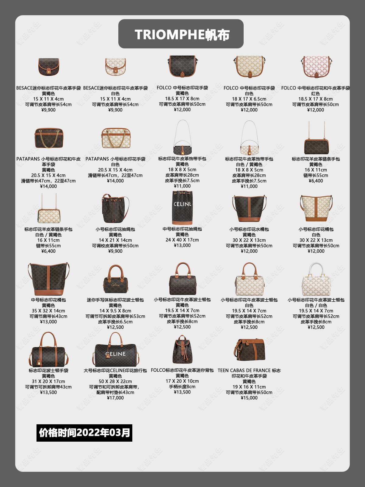 思琳celine大号旅行包,思琳celine2023新款包