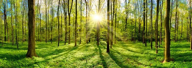 人缘差到极致的话,想要人缘好这三句话千万不要讲