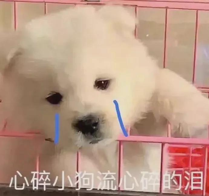 鑵归粦濮愬閬囦笂鑵归粦鐢蜂富,鑵归粦濮愬