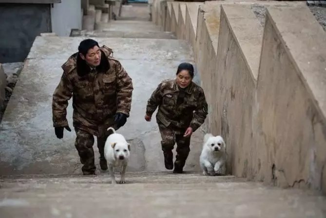 夫妻俩驻守黄海孤岛32年,江苏夫妻驻守黄海孤岛32年