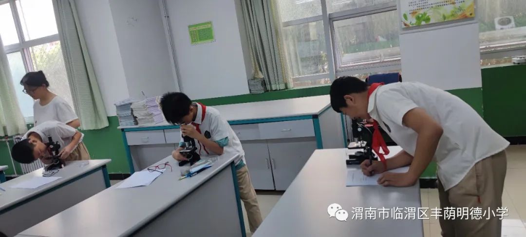 江苏省小学科学实验大赛,童心探科学逐梦创未来一等奖