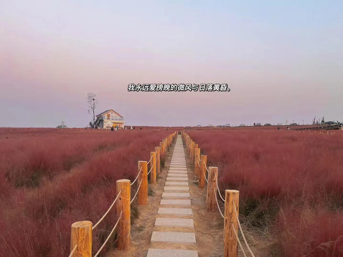 合肥蜀山小岭南可以开车上去吗,端午来蜀山小岭南饱览乡村风景