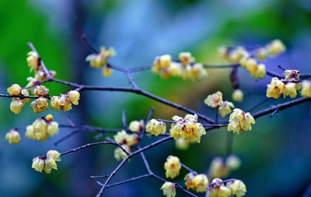 壬寅仲春里的散词索思·06