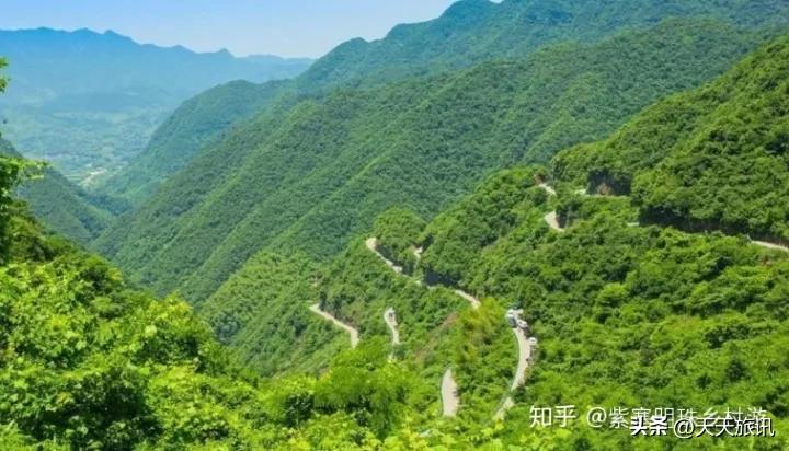 安徽天然氧吧地区名单,安徽最好的天然氧吧景区