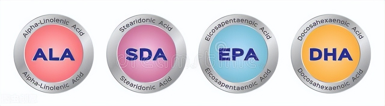 孩子补充dha是智商税吗,给孩子补充dha是智商税吗