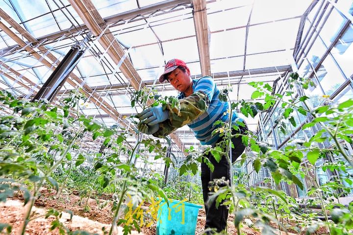 济南网红打卡地樱花大道火车,济南24小时打卡网红圣地