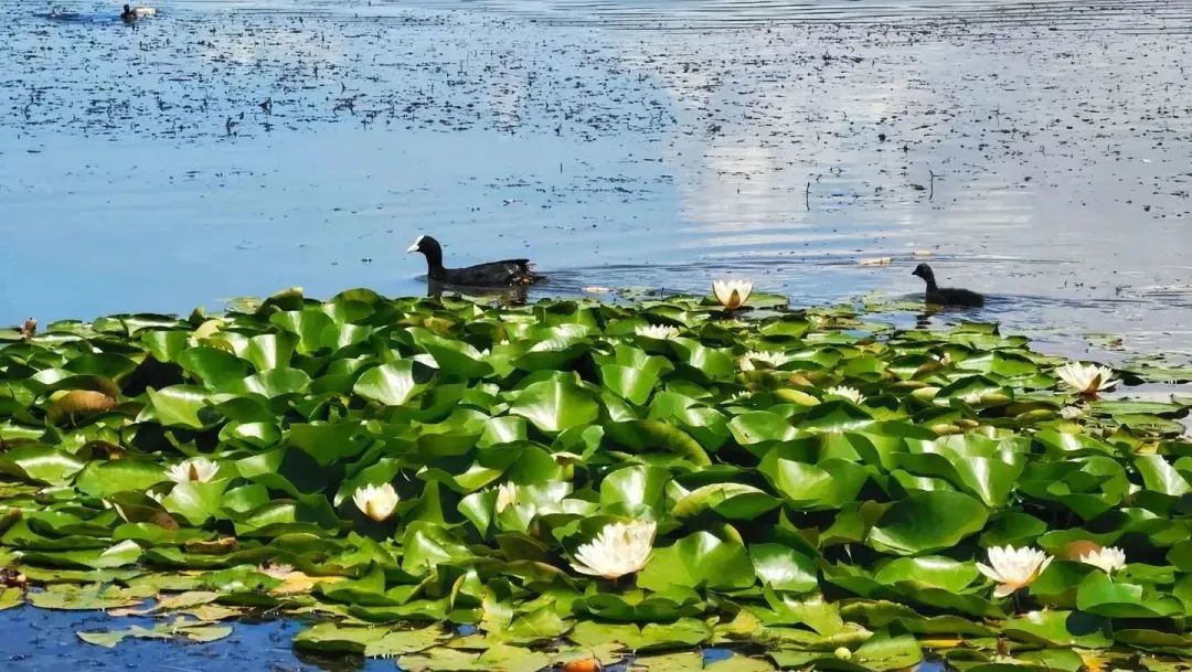 遇见20岁的男孩,遇见20年前的人