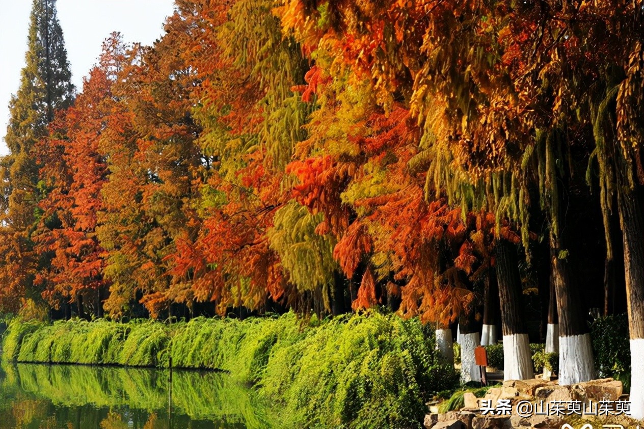 芜湖旅游攻略教堂,芜湖鸠兹风景区
