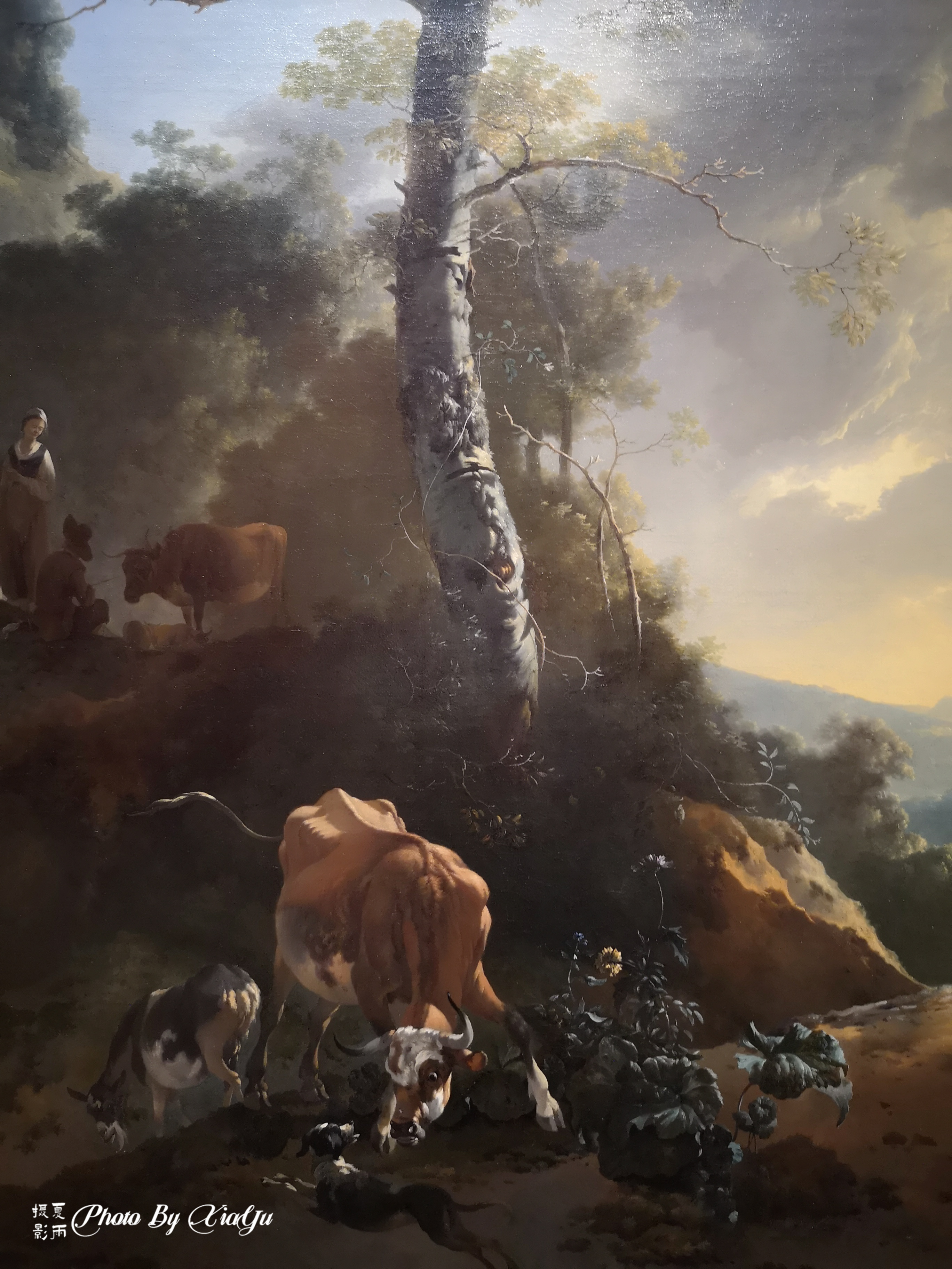 「畅游大洋洲」初识悉尼（五）