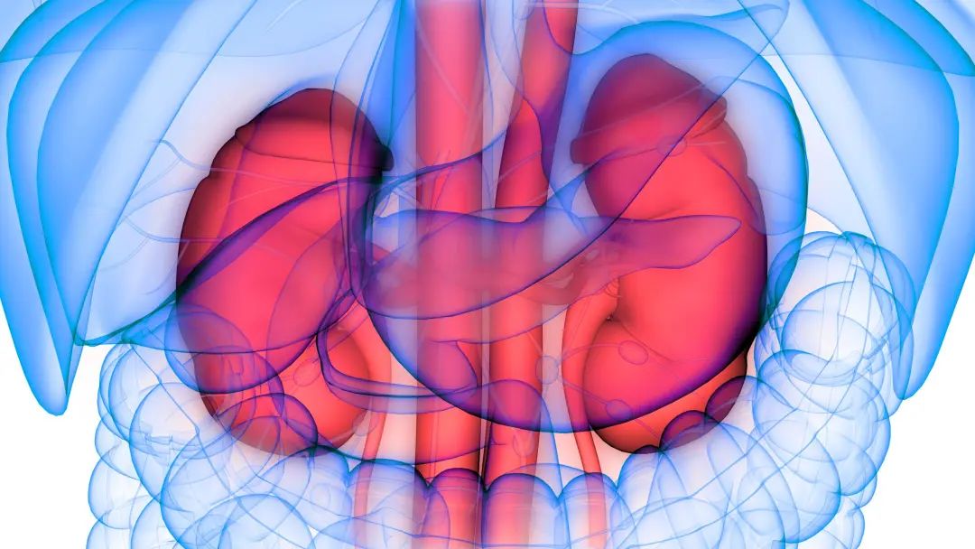 急性肾衰竭血肌酐一直升高,血肌酐和肾功肌酐是一回事吗