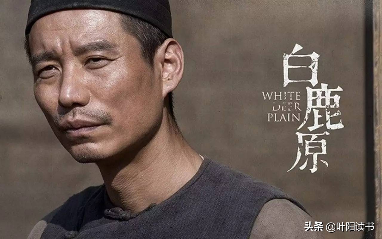 白鹿原冷先生怎么那么多钱,白鹿原冷先生经典语录