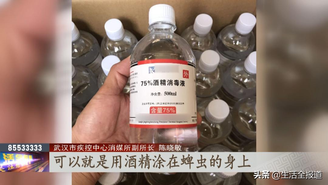 又到蜱虫高发季出游当心被盯上,又到蜱虫高发季出游当心