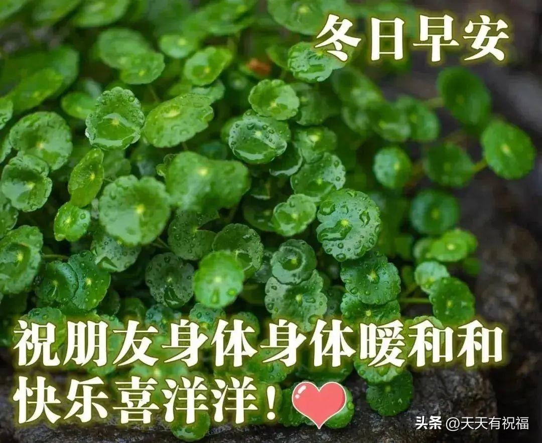 平安夜早上好问候语暖心句子,平安夜早安问候语简短一句话