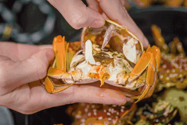 阳澄湖大闸蟹到底有多少真的假的,阳澄湖大闸蟹为什么很多假的