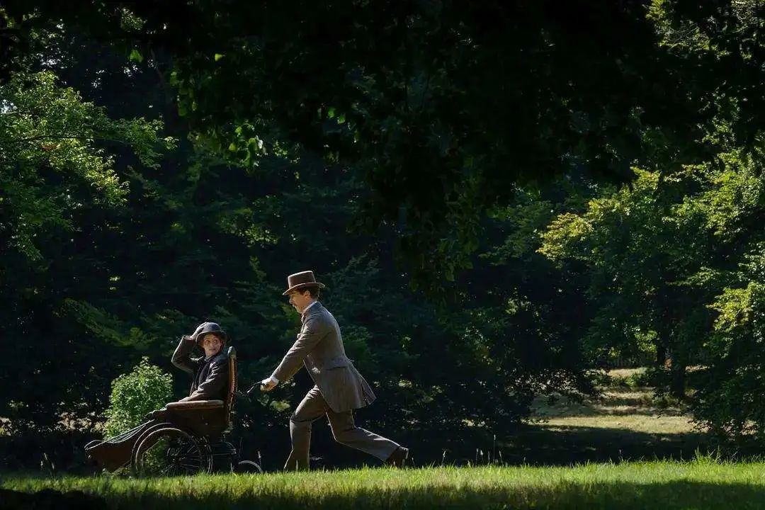 顶级猫奴！天才画家用余生为亡妻画猫，却被送进精神病院…