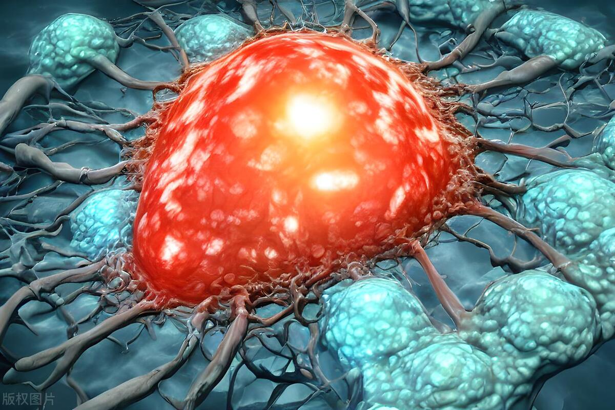 我30岁,月经没来以为怀孕,几天后隐私部位长了血泡,咳嗽咳出血