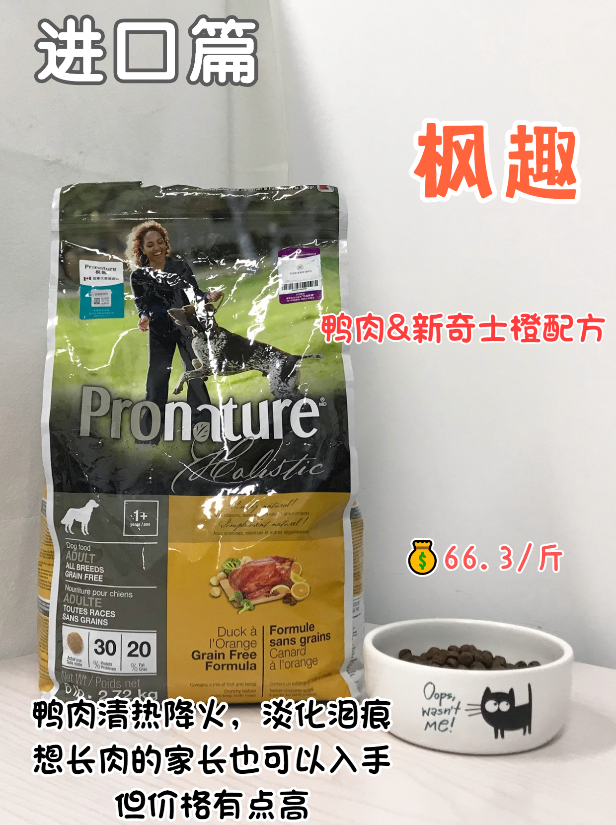 养狗不要太宠狗,养狗新手不建议养什么狗