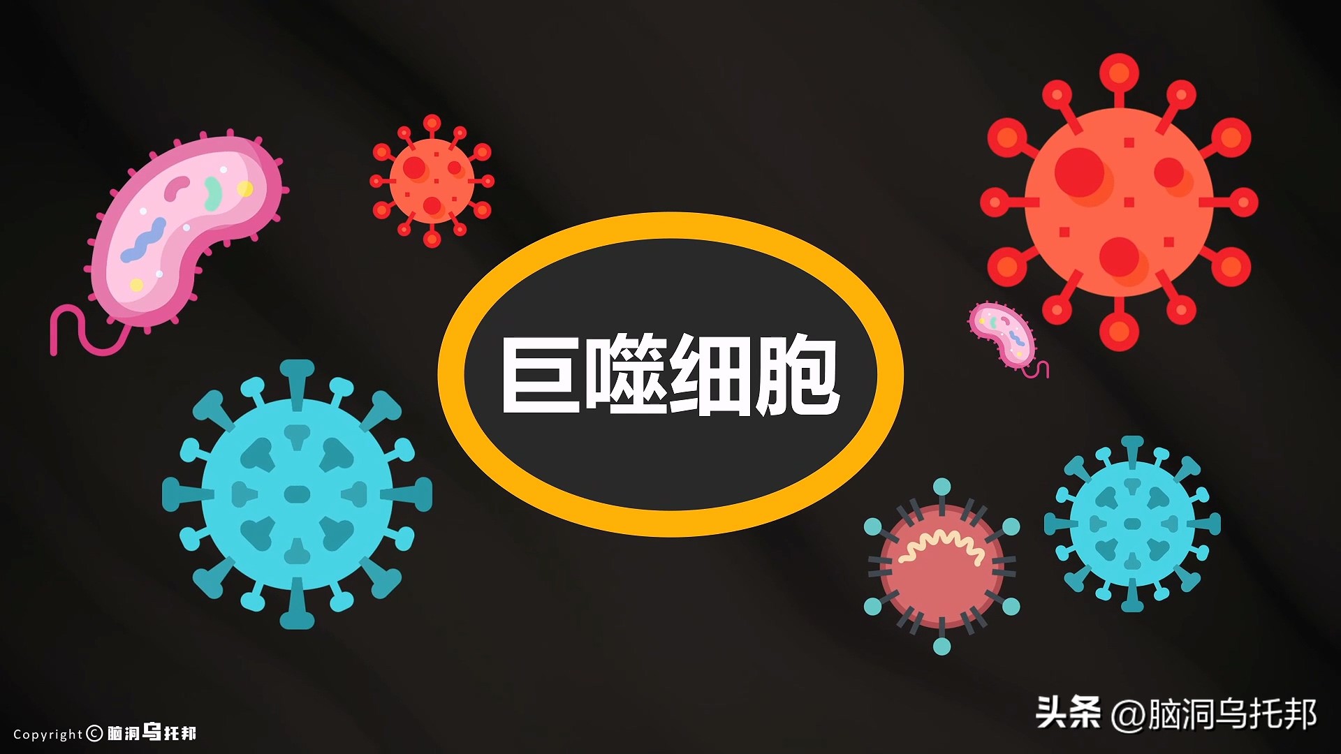 无症状感染是因为体质差吗,为什么有的人感染症状轻