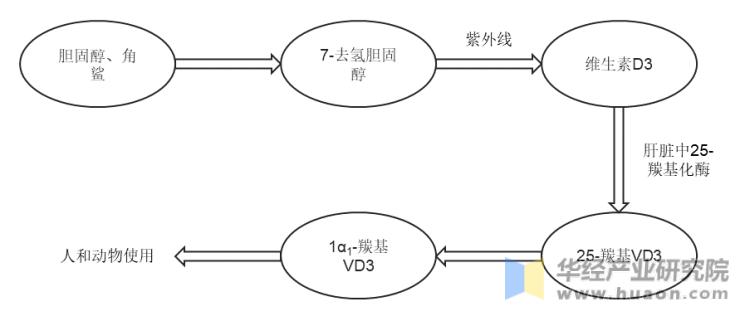 维生素行业深度分析,维生素市场现状