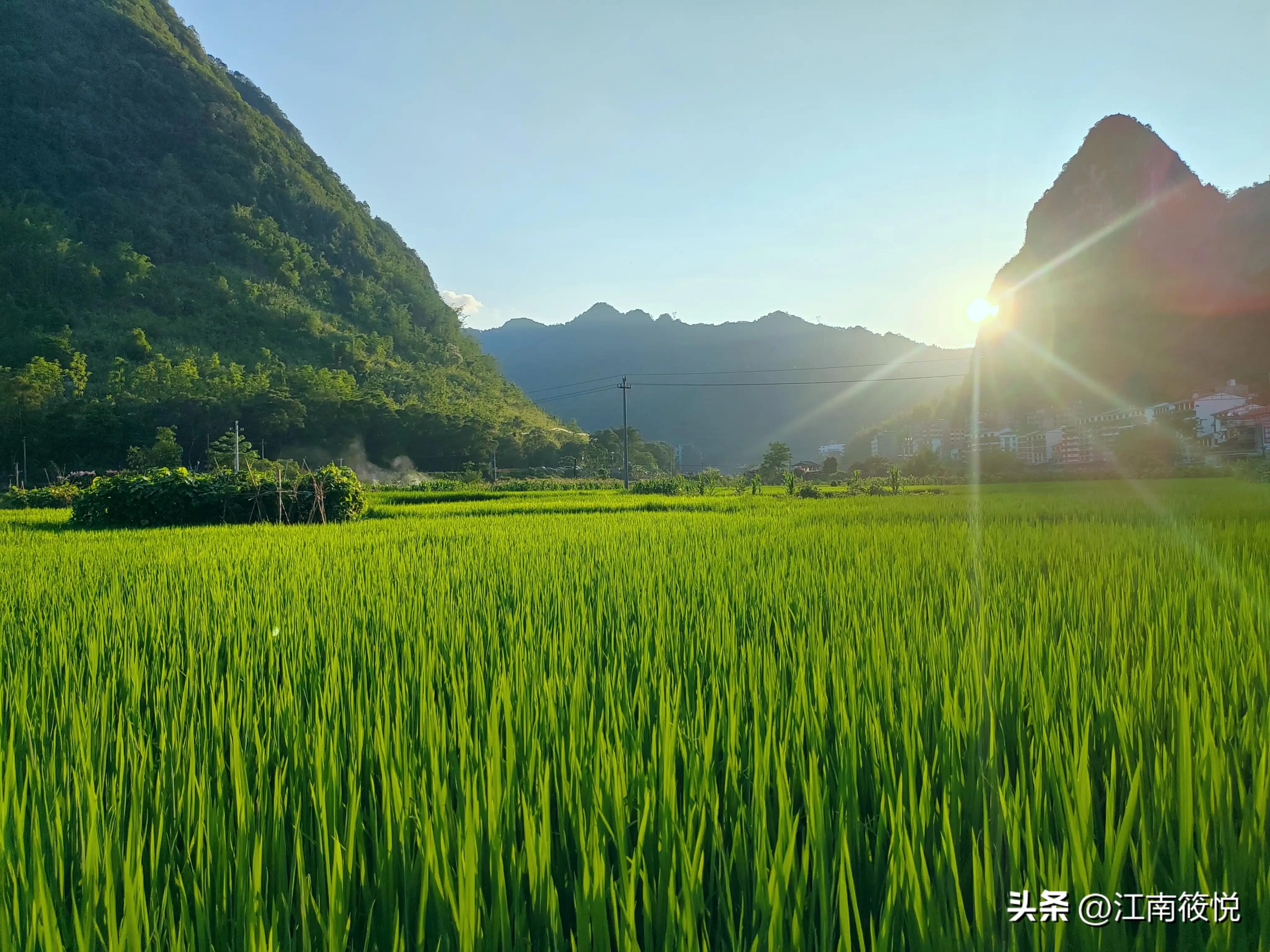 巴马日记（106）～吹风居然过敏了