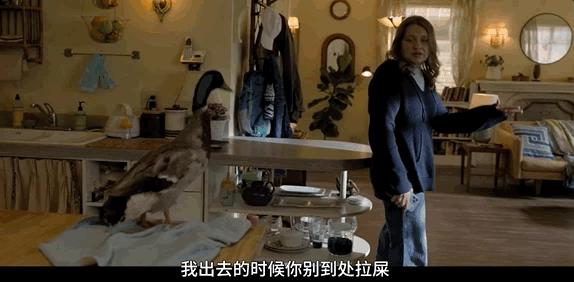 招黑网红现状,被黑最惨的网红